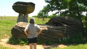 PICTURES/Mushroom State Park - Marquette, KS/t_Cluster Mushrooms1.JPG